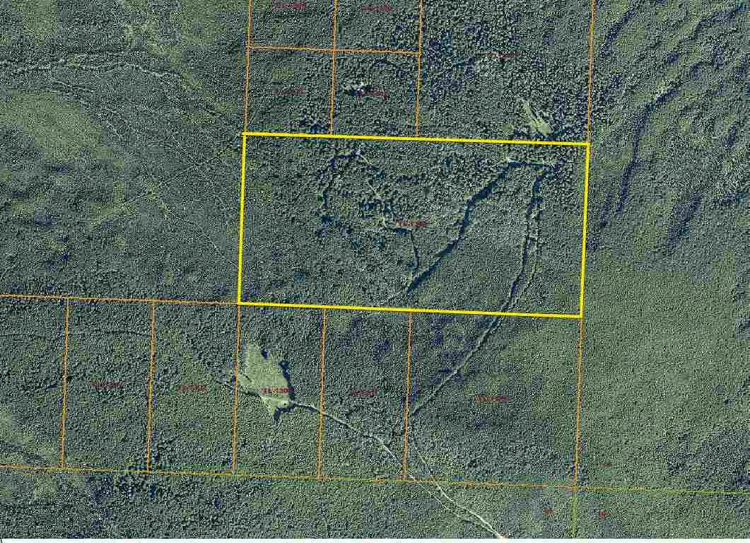 80 Acres, NHN STANDARD CREEK ROAD, Ester, AK 99725 Land and Farm