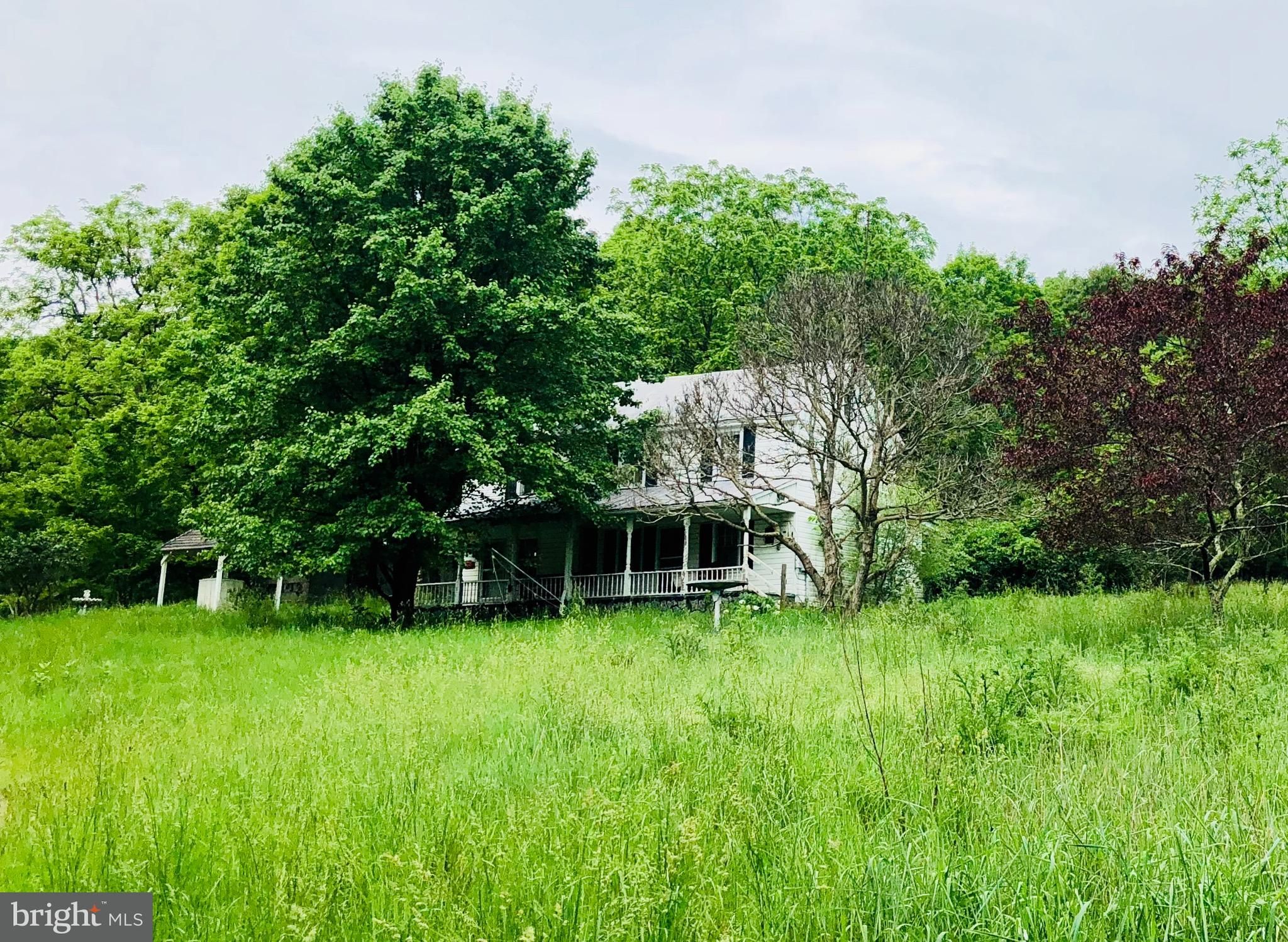 5 Acres, 2389 MIDDLE COVE ROAD, Mathias, WV 26812 Land and Farm