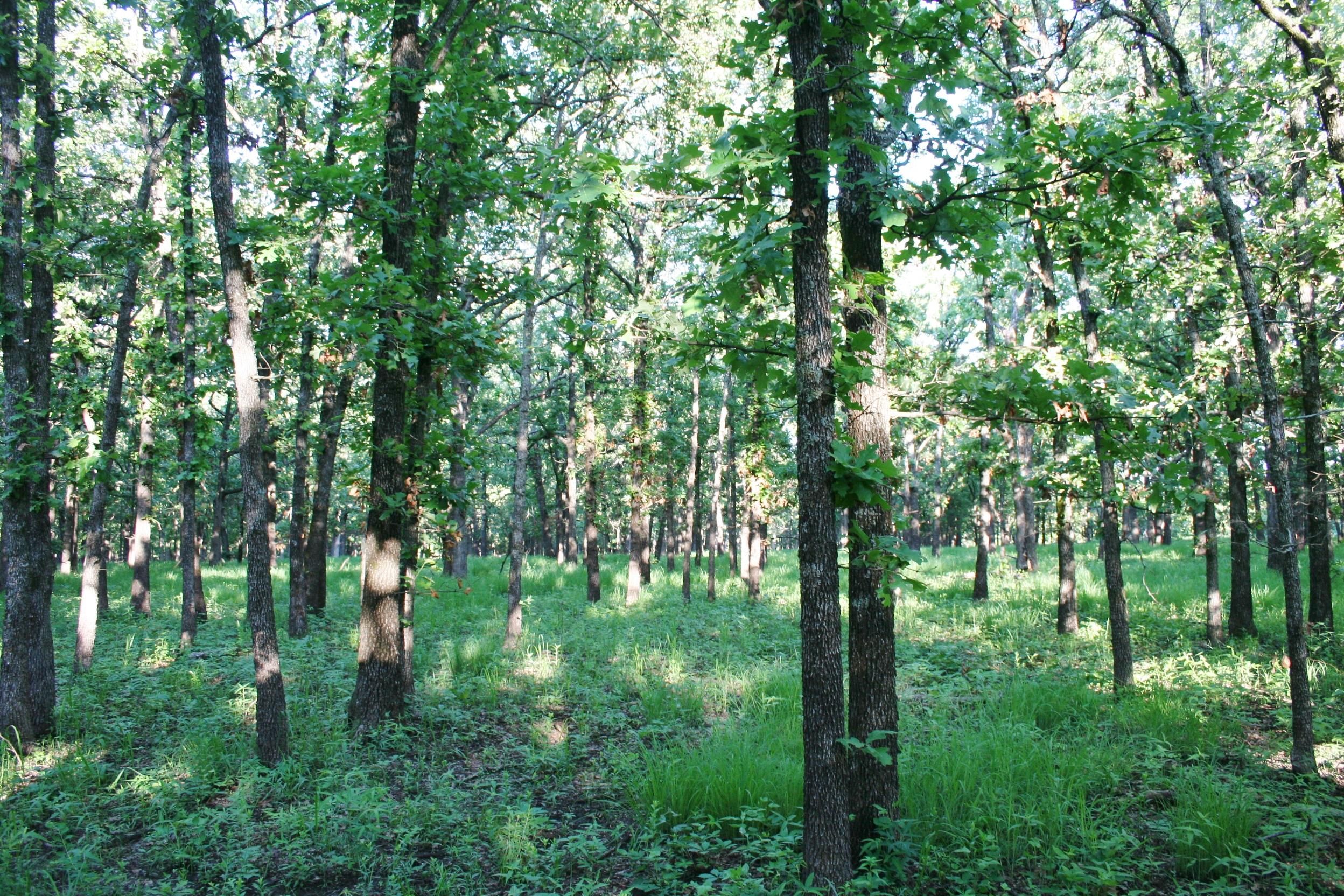 353 Acres, 469 Rd 29A, Longton, KS 67352 Land and Farm