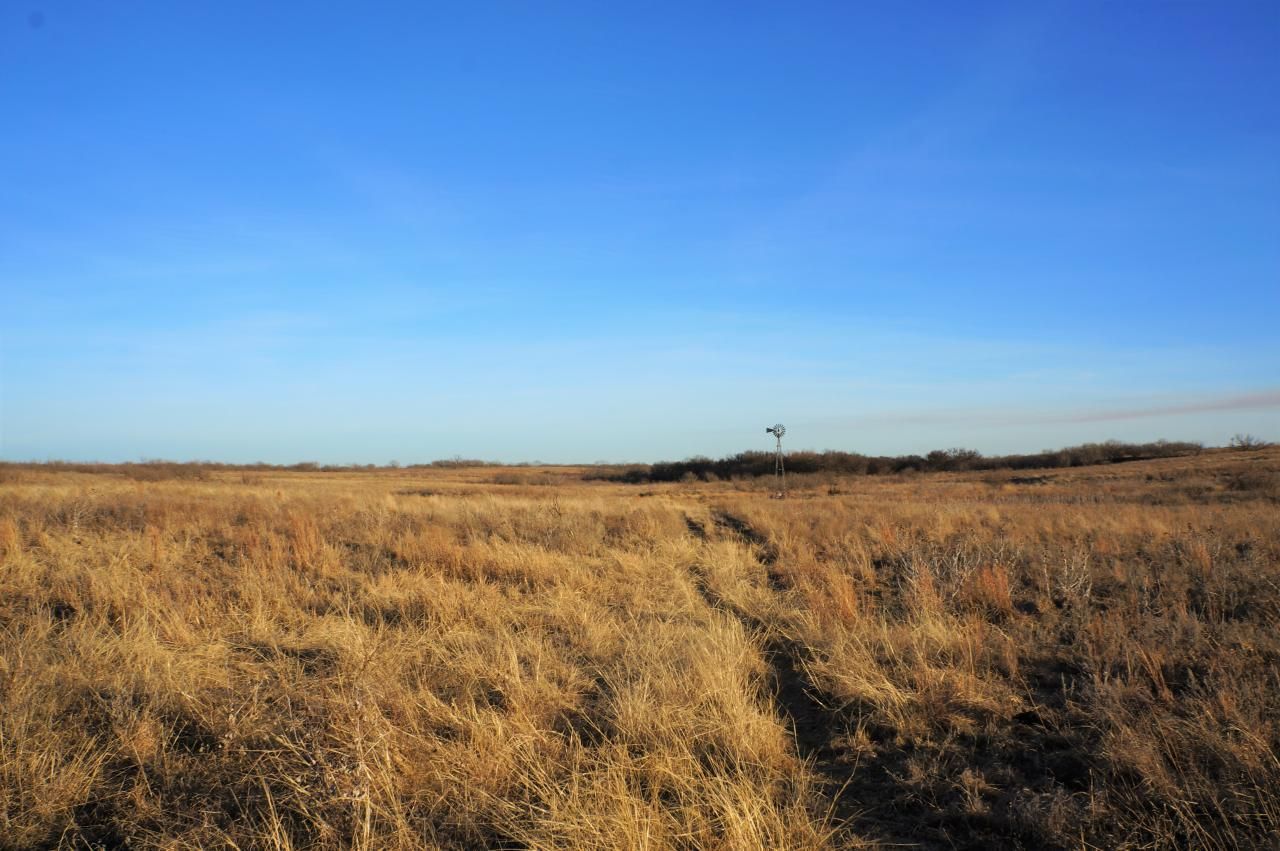 US HWY 287, Jolly, TX 76305 Land and Farm