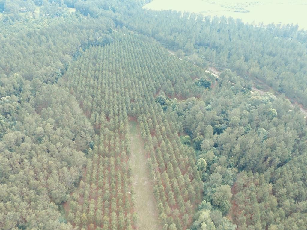 15.73 Acres, 00 Twin Gables Road, Broxton, GA 31519 Land and Farm
