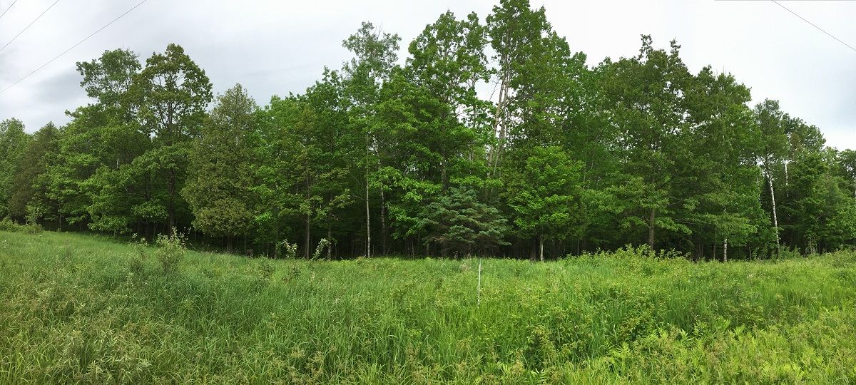 19 Acres, XXXX Touve Rd, Herbster, WI 54844 Land and Farm