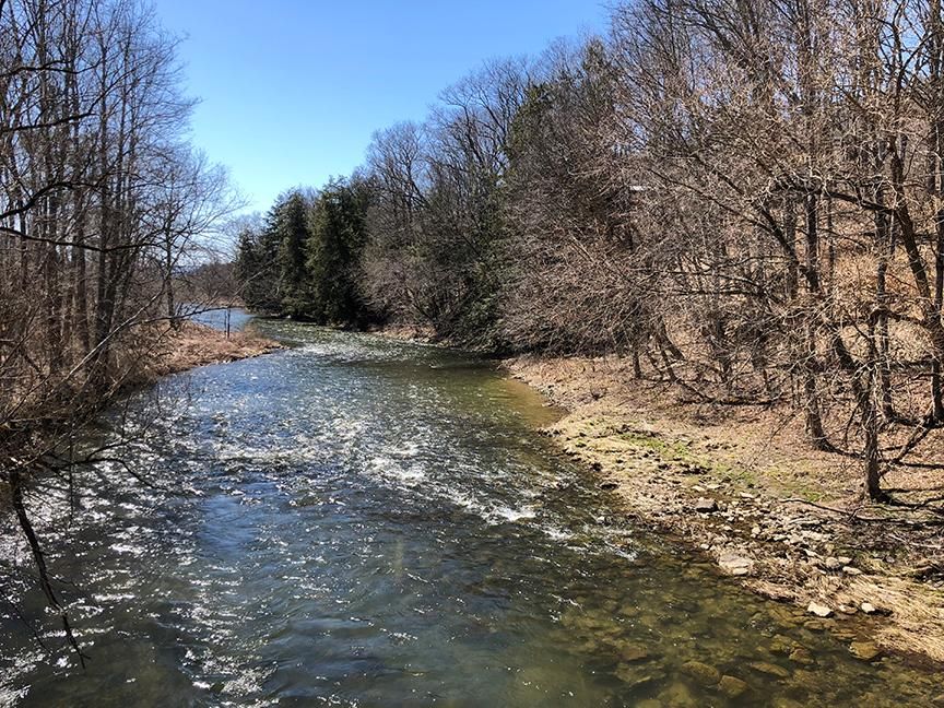 6562 Charlotte Creek Road, Davenport, NY 13750 Land and Farm