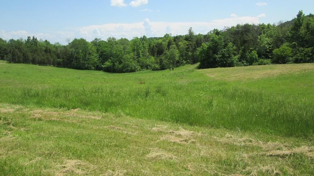 2 Routt Road, Wallingford, KY 41093 MLS 1813722 Land and Farm