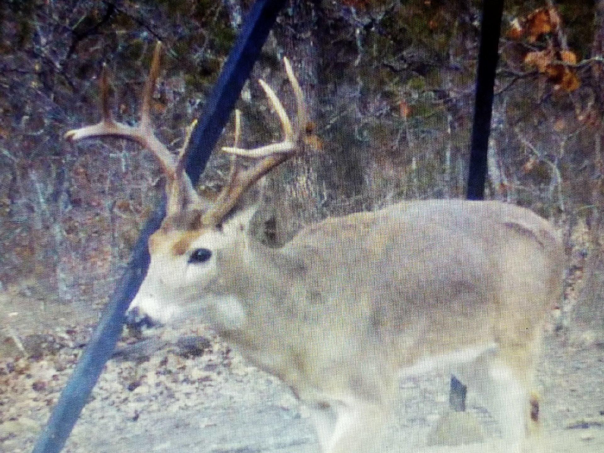 335 Acres, 150 miles N. of Dallas, 106 miles SE of OKC, Gerty, OK 74570