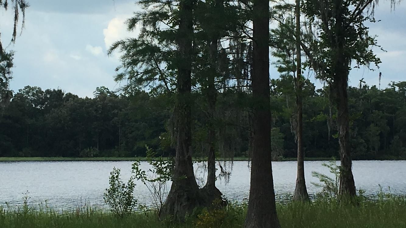 Southeast Oak Tree Road, Branford, FL 32008 MLS 101300 Land and Farm