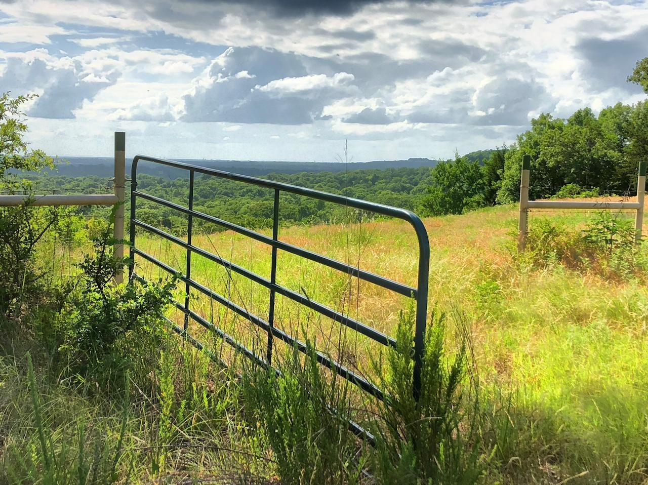 Timber Ridge Road, Madill, OK 73446 MLS 33340 Land and Farm