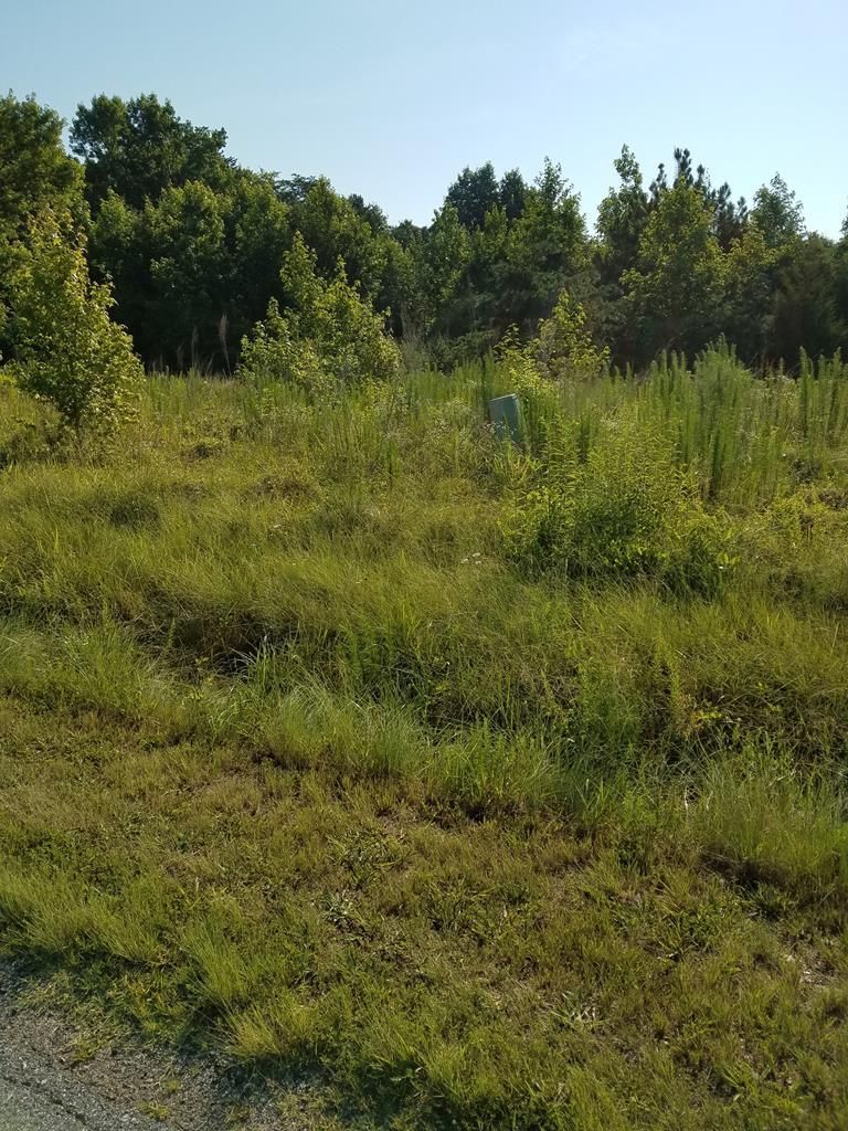 19.47 Acres, Golf Club Road, Danville, VA 24540 Land and Farm