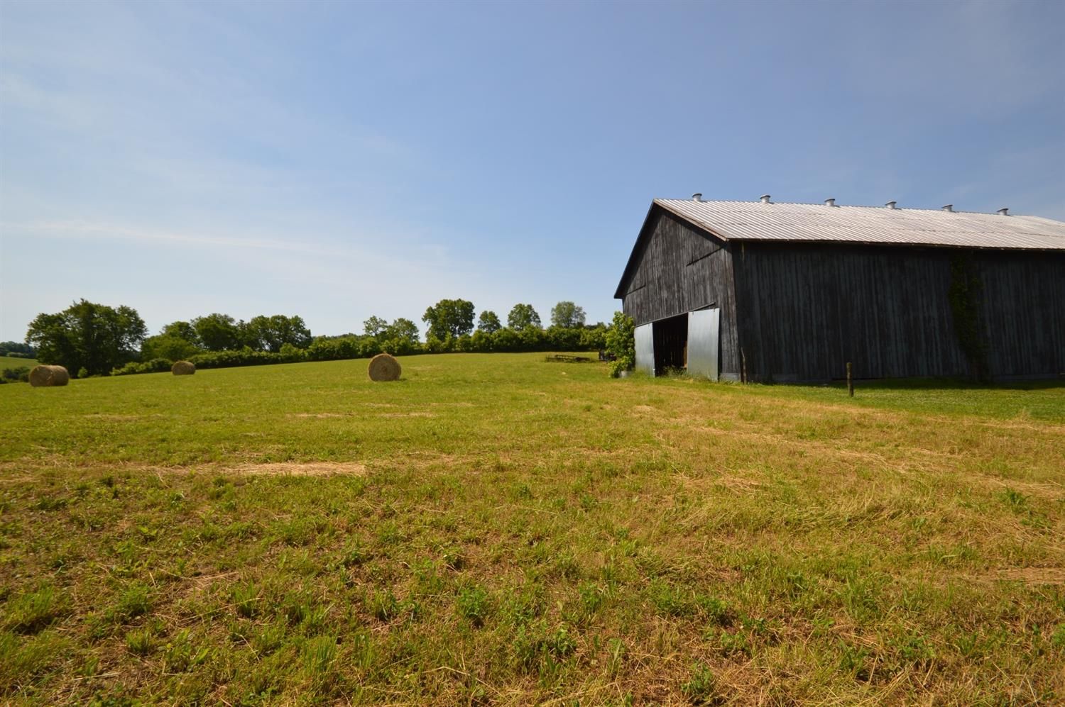 96.33 Acres, 1775 Cummins Ferry Road, Versailles, KY 40383 Land and Farm