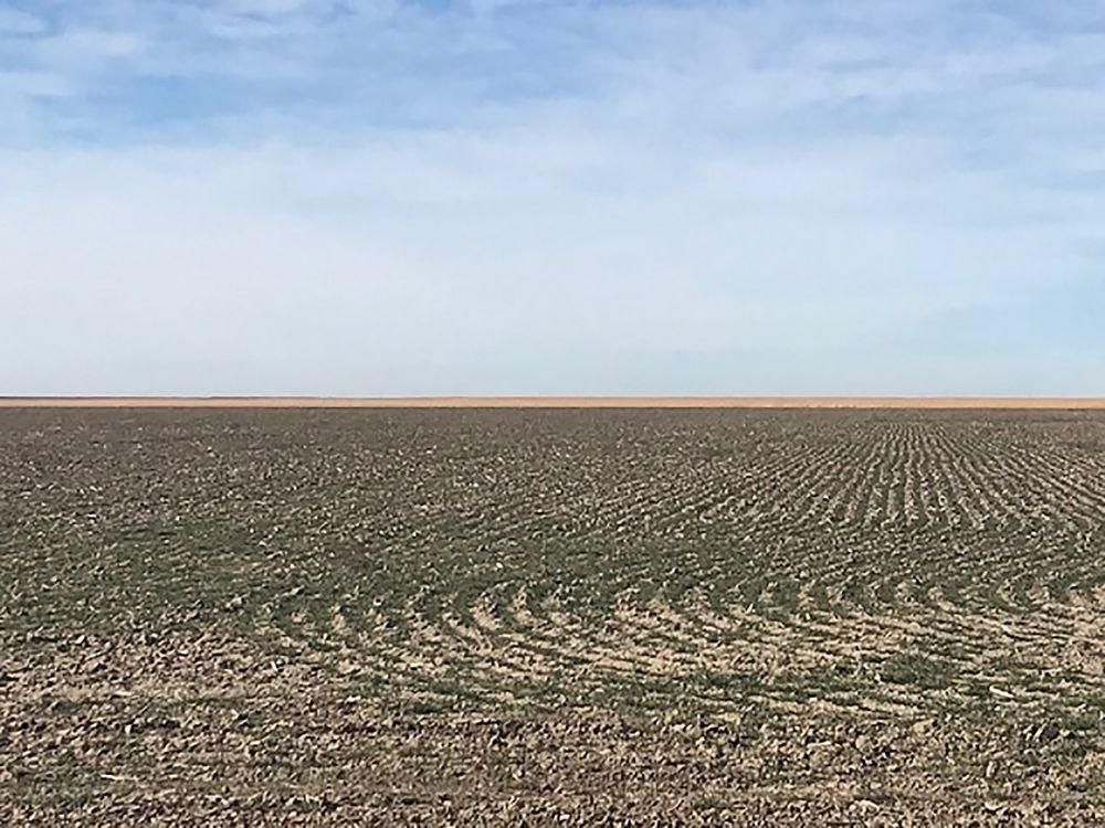 160 Acres, Syracuse, KS 67857 Land and Farm