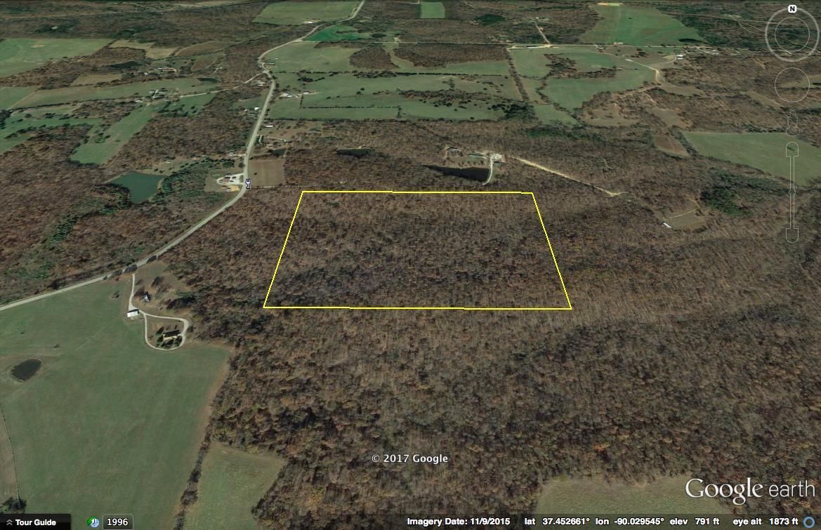 40 Acres, Highway 51, Patton, MO 63662 Land and Farm