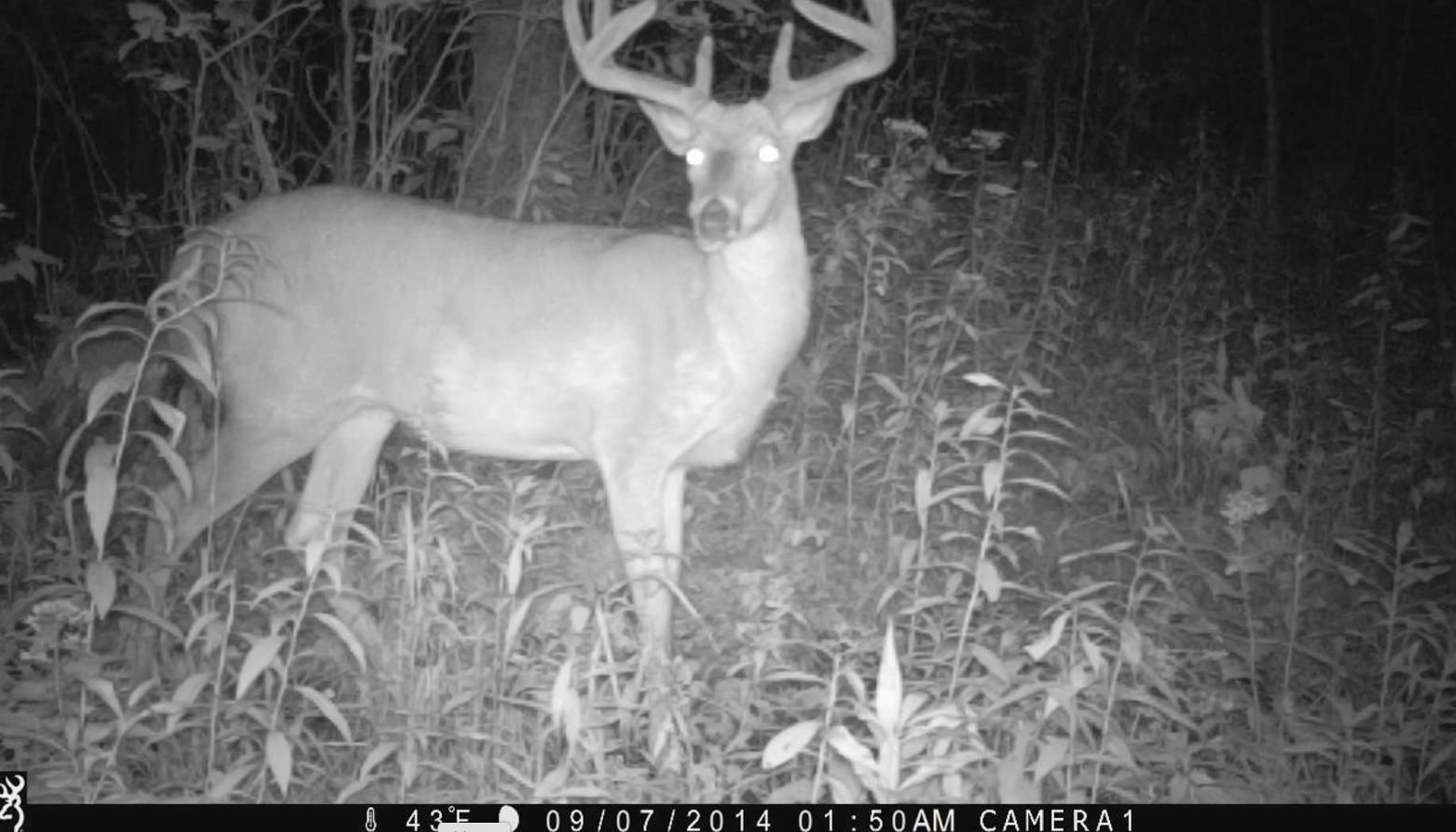 40.48 Acres, Beyer Lane, Lot WP001, Peshtigo, WI 54157 Land and Farm