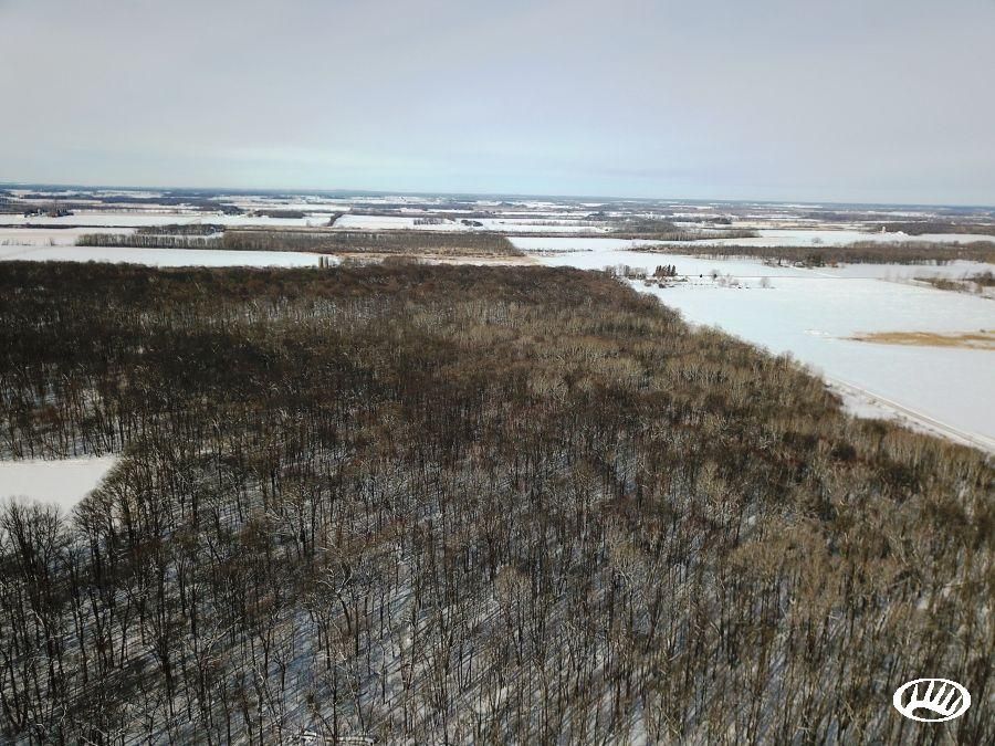 81.11 Acres, County Road 75, Bertha, MN 56437 Land and Farm