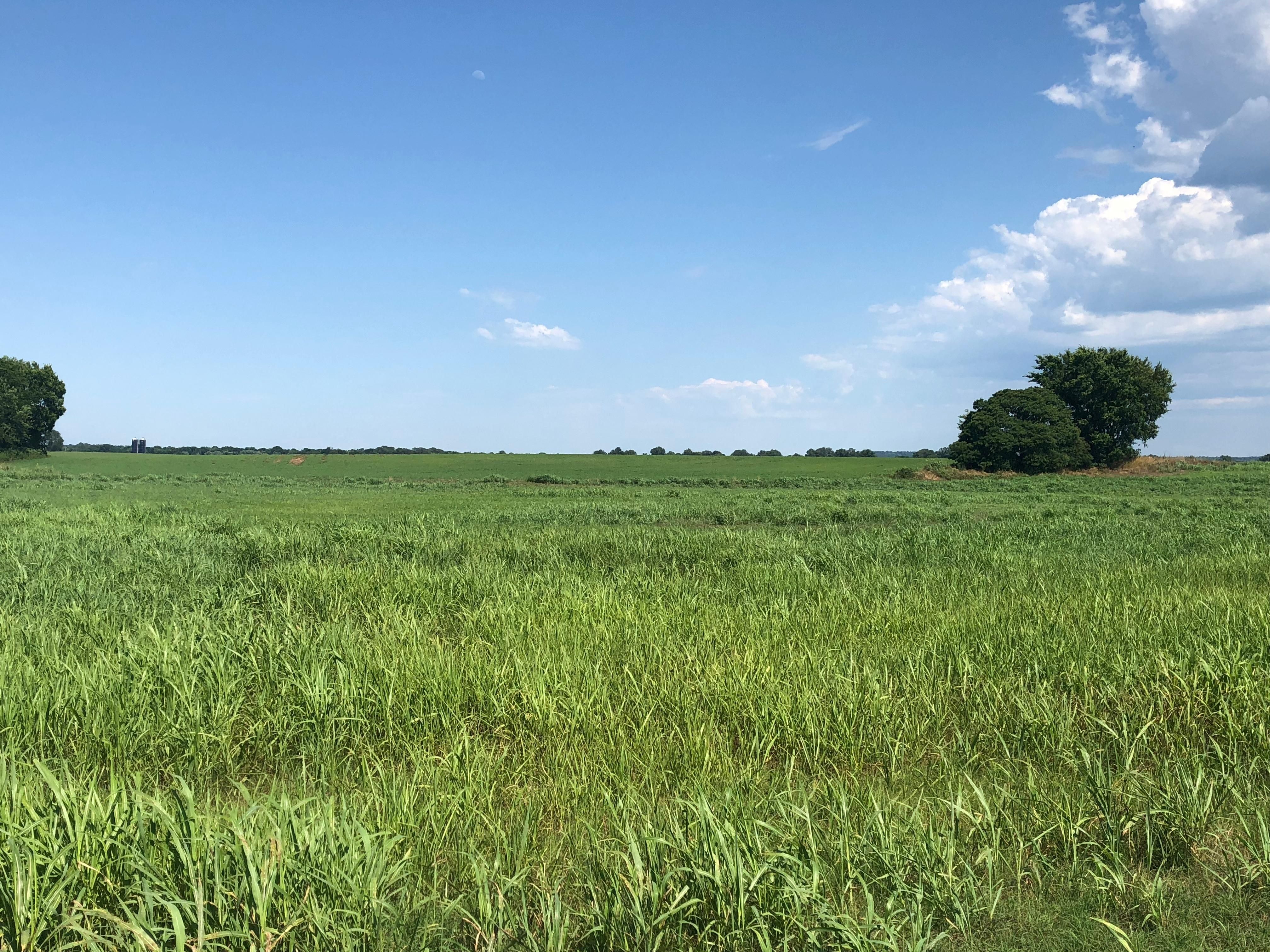 60 Acres, Arkoma, OK 74901 Land and Farm