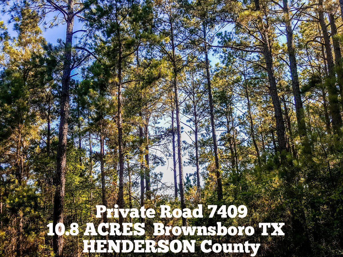 10.8 acres in Henderson County, Texas