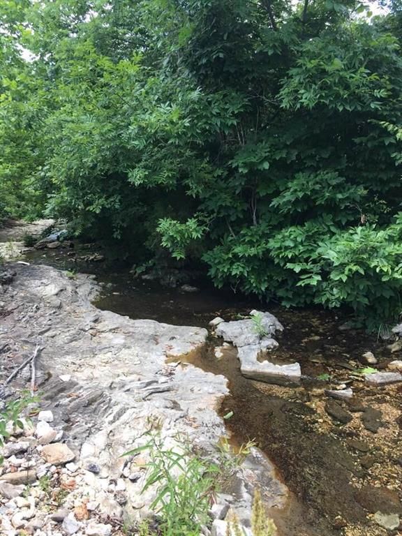 40 Acres, Sugar Orchard Creek, Zinc, AR 72601 Land and Farm