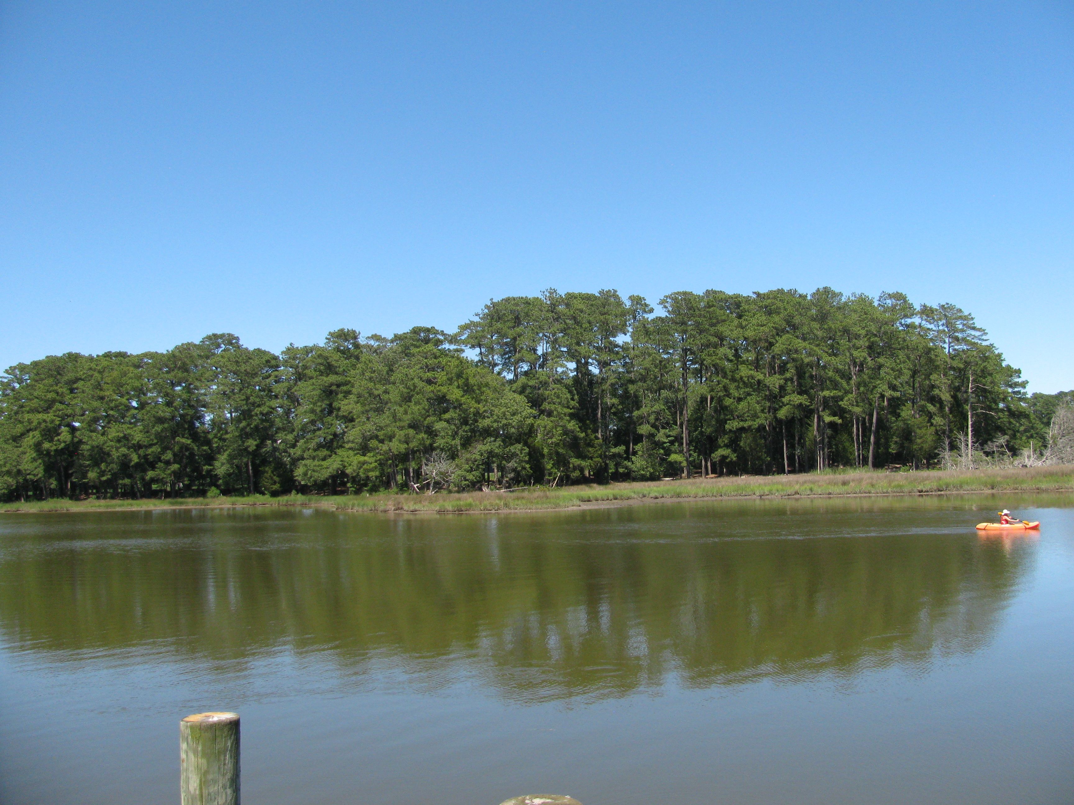 120 Acres, 120 acres Country Club Road, Melfa, VA 23410 Land and Farm