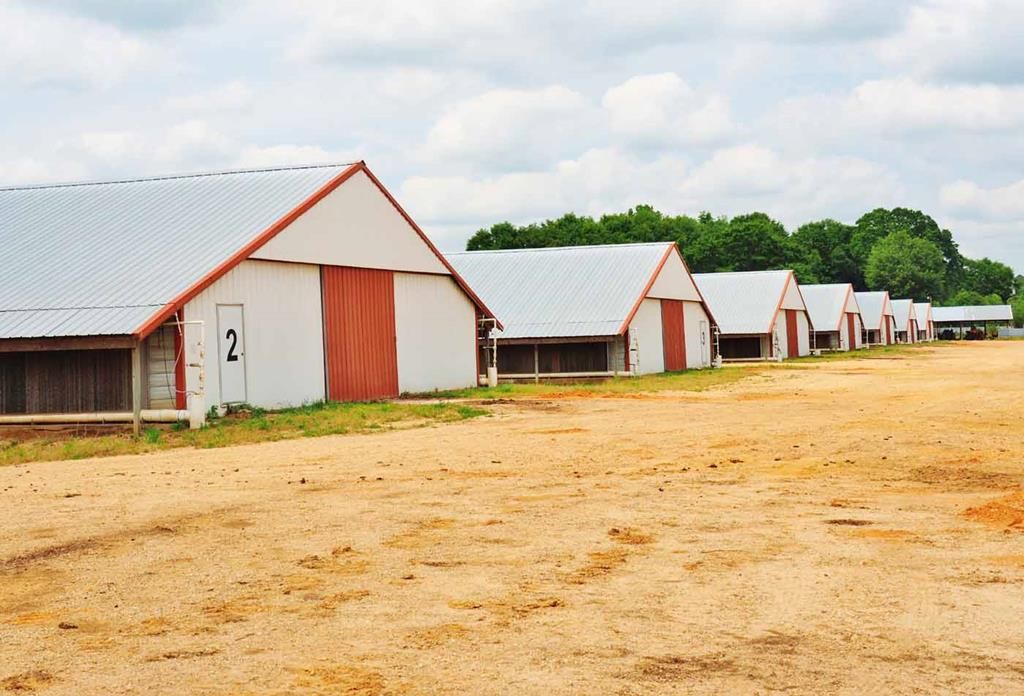 40 Acres, 8 Woods Lane, Mount Olive, Covington County, MS, Mount Olive