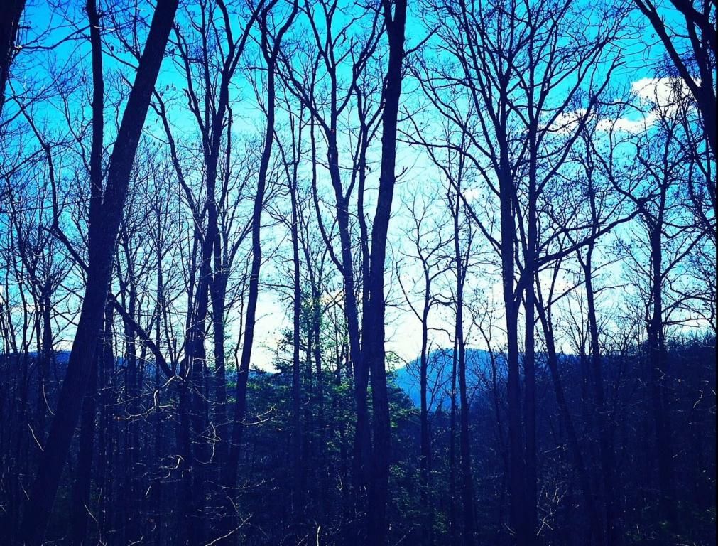 3.19 Acres, Stonehendge Subdivision, Lewisburg, WV 24901 Land and Farm