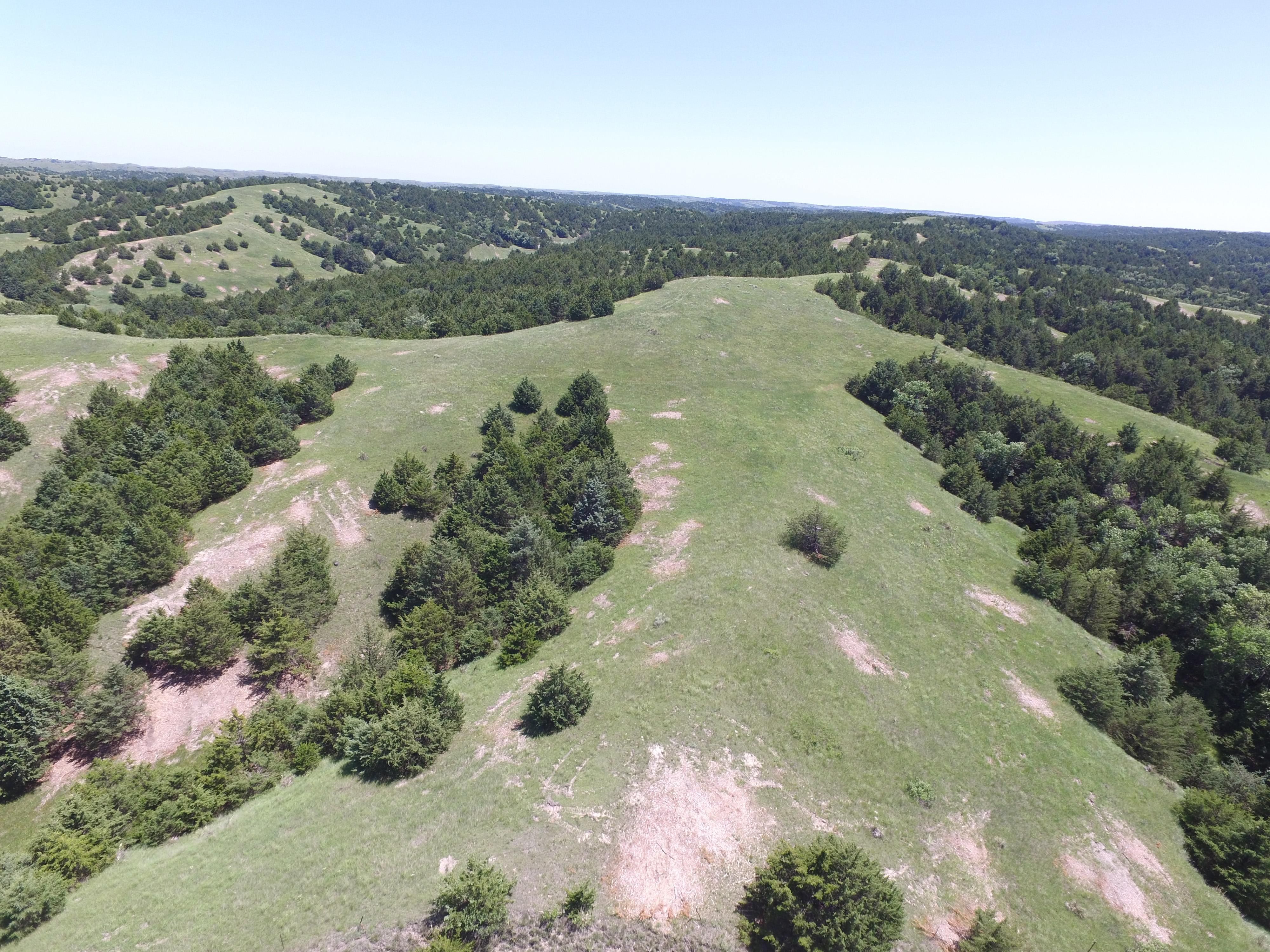 530 Acres, Brady, NE 69123 Land and Farm