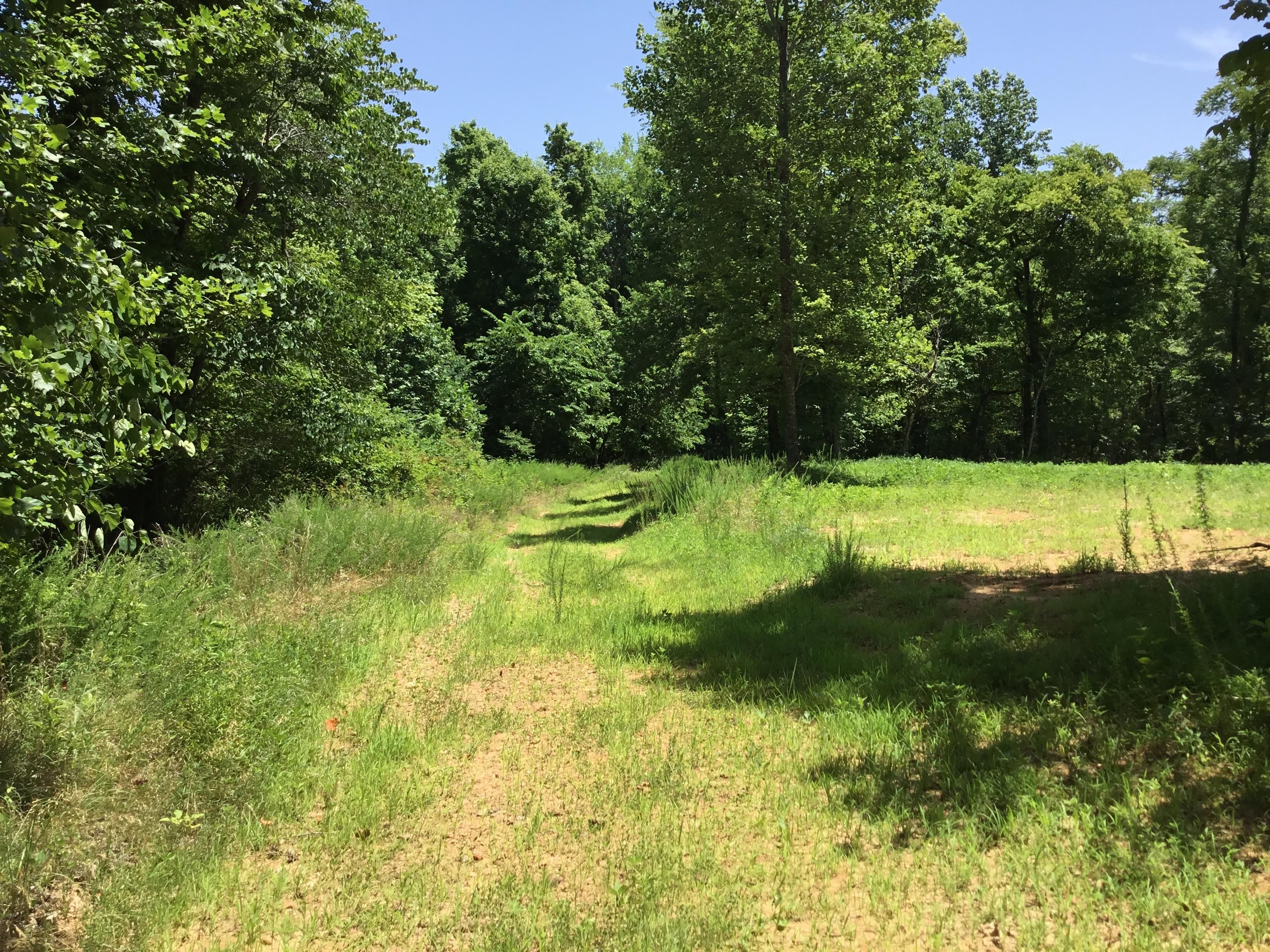 9 Acres, Cadiz, KY 42211 Land and Farm