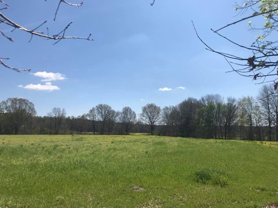 3 Acres, 11 HOLLYBUSH DR, Brandon, MS 39047 Land and Farm