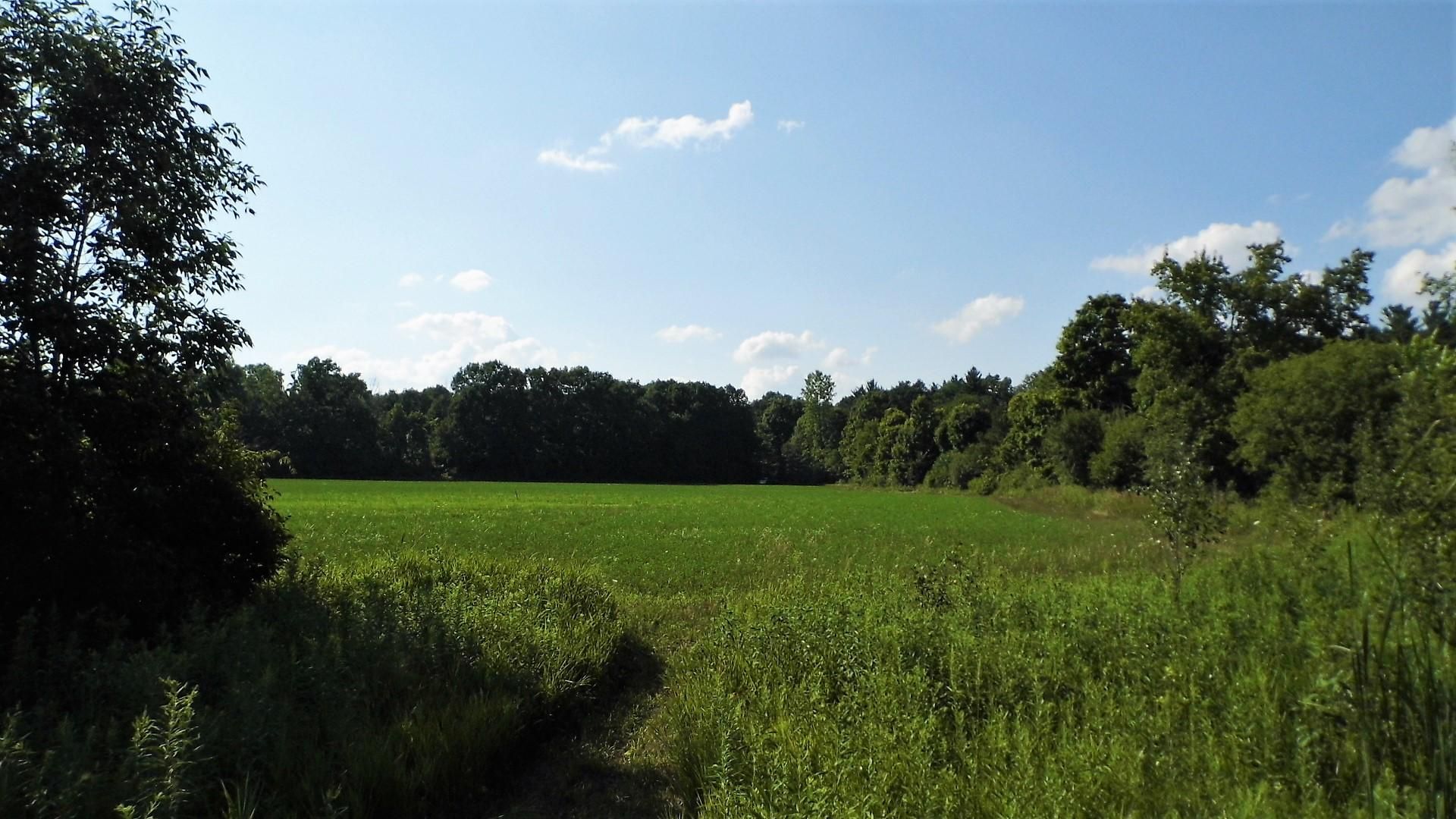 82.5 Acres, 1300 Farnsworth Road, Lapeer, MI 48446 Land and Farm