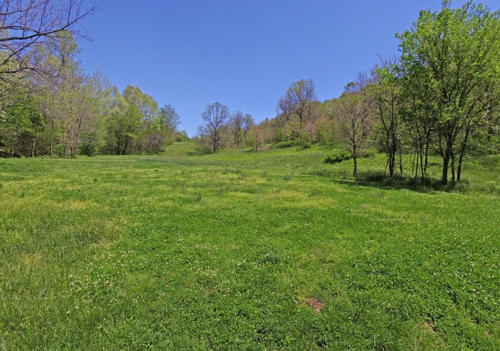156 Acres, 0000 Carlin Ridge Road, Longview, MO 64861 Land and Farm
