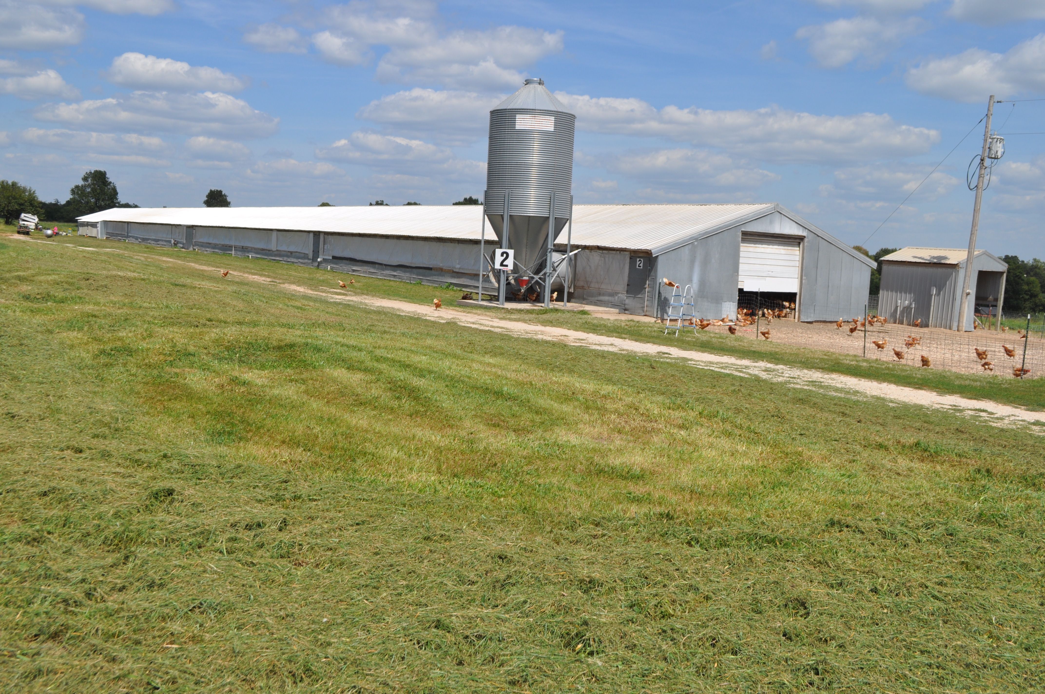 40 Acres, 1132 Farm Road 2110, Purdy, MO 65734 Land and Farm