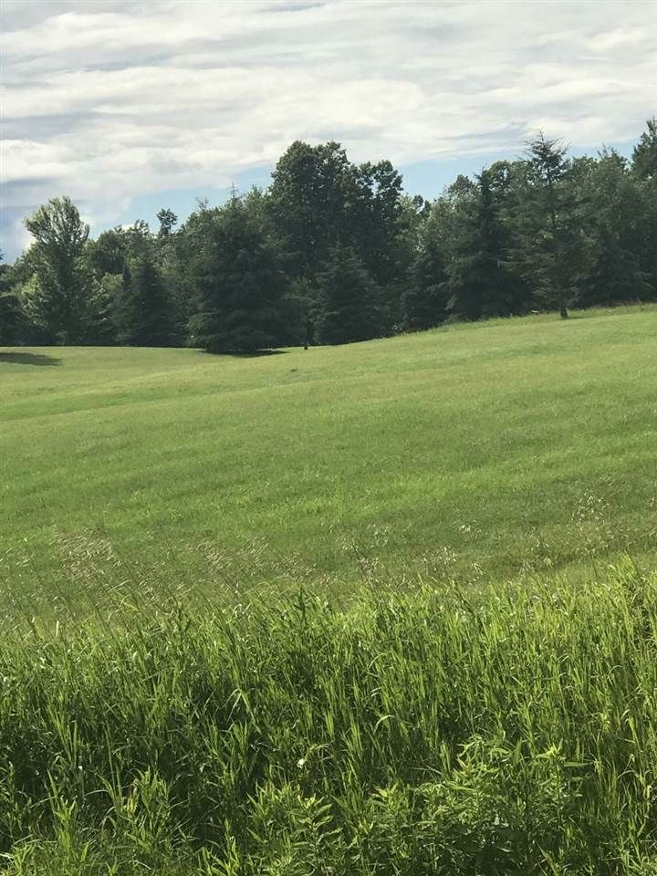 1.17 Acres, E SILVER LAKE Road, Laona, WI 54541 Land and Farm