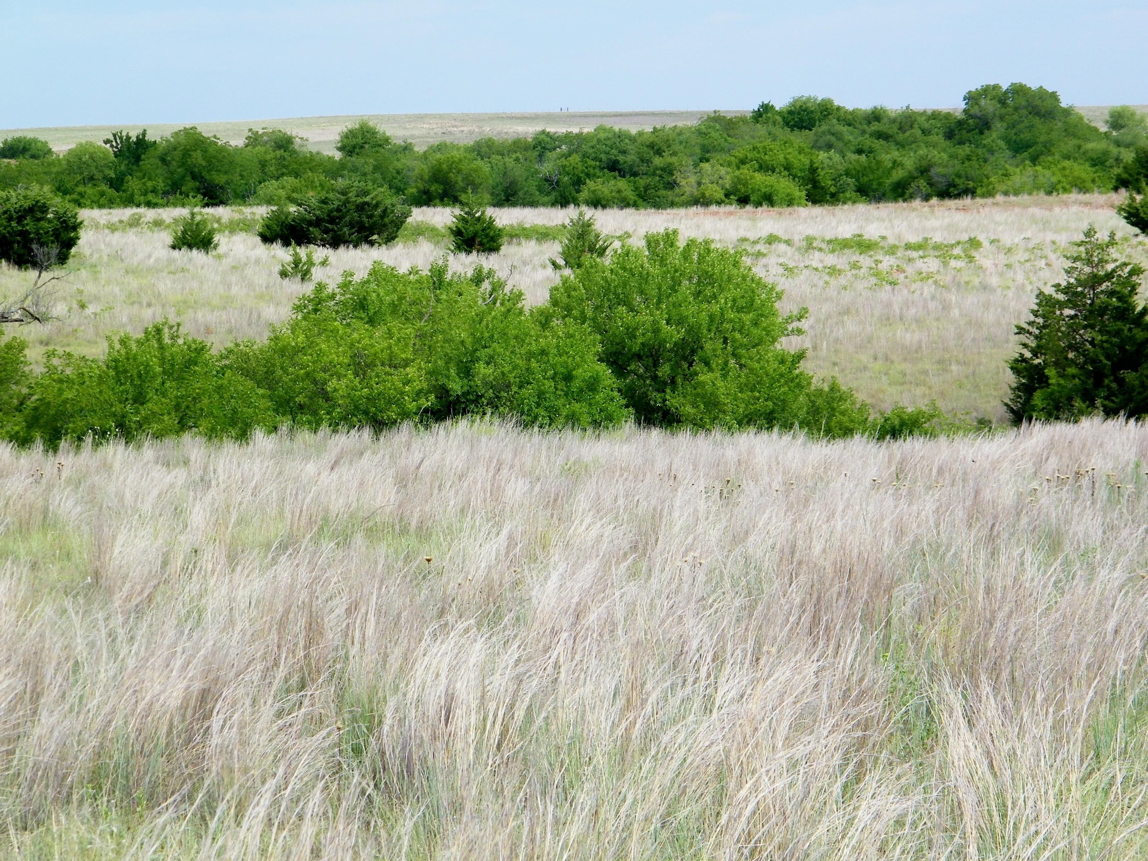 840 Acres, Highway 73, Foss, OK 73647 Land and Farm