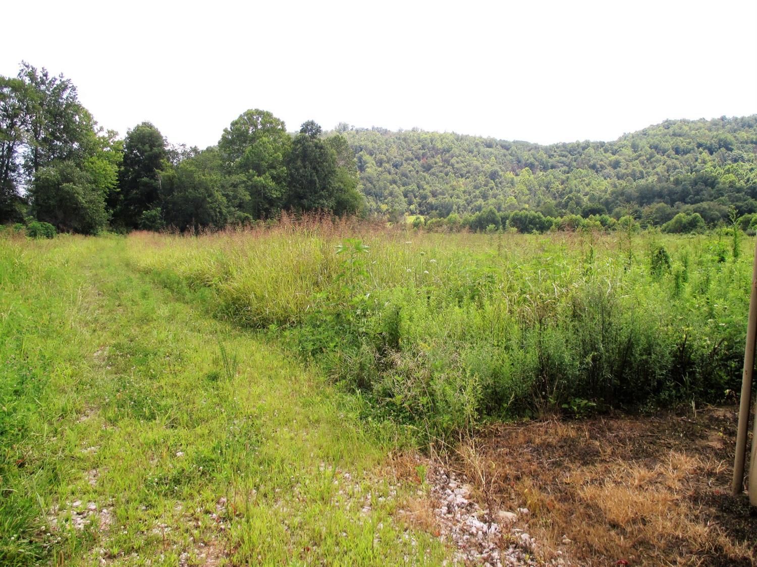 121.92 Acres, 1111 Little Wolf Creek Road, Williamsburg, KY 40769