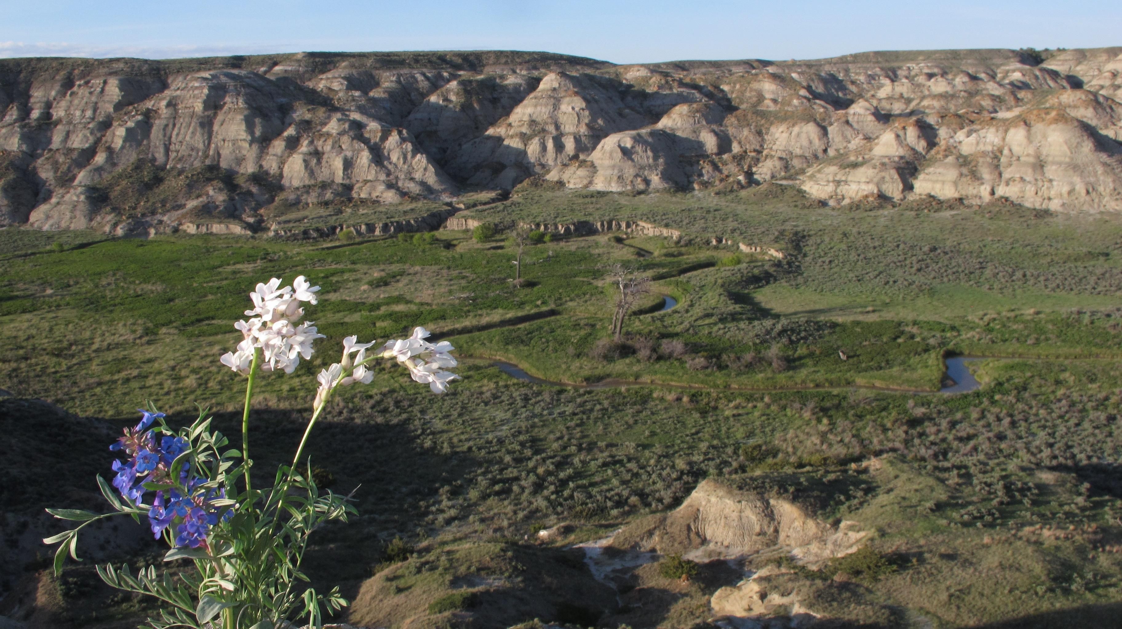 488 Acres, Big Sandy, MT 59520 Land and Farm