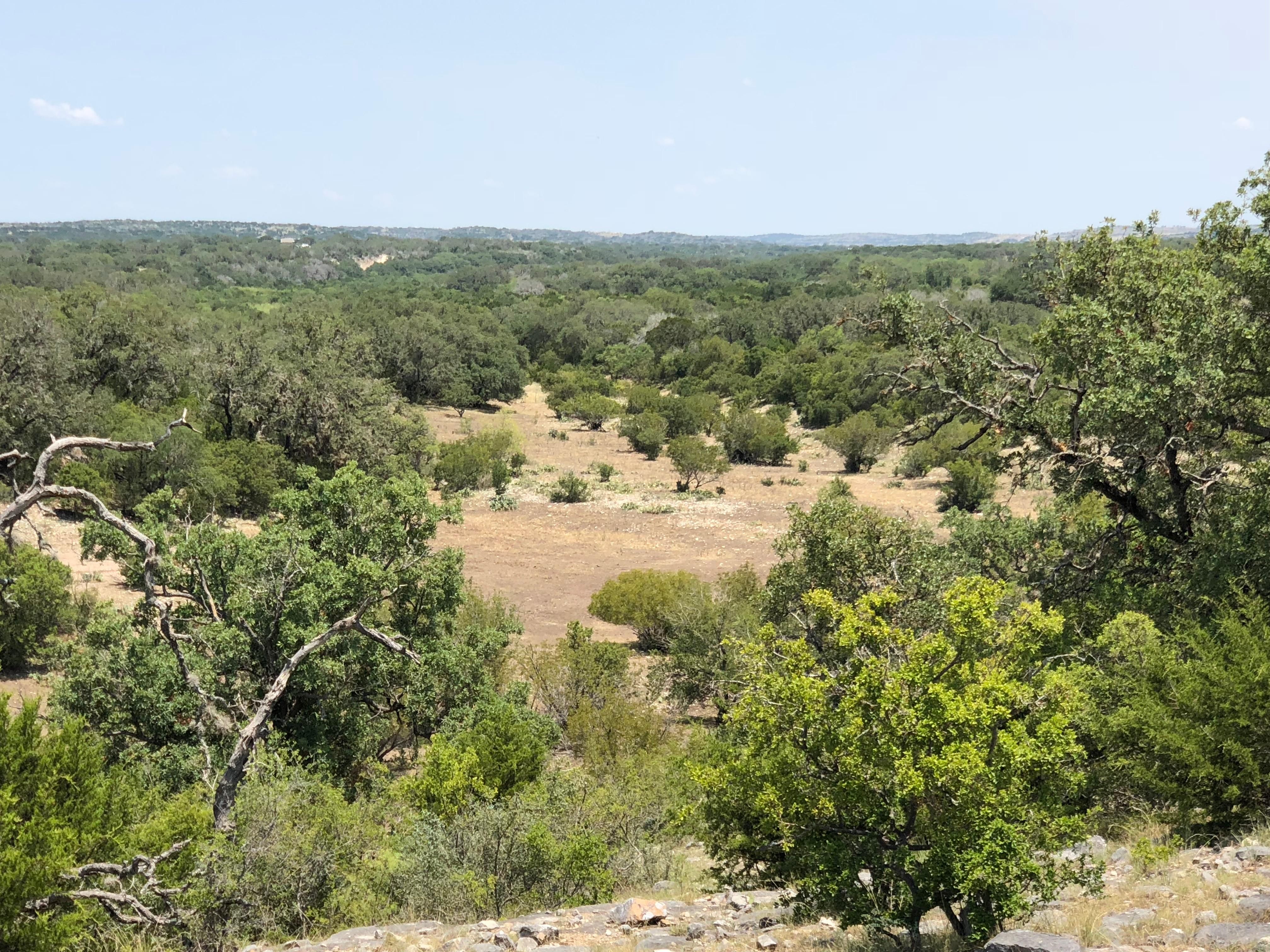 40.84 Acres, Rocksprings, TX 78880 Land and Farm