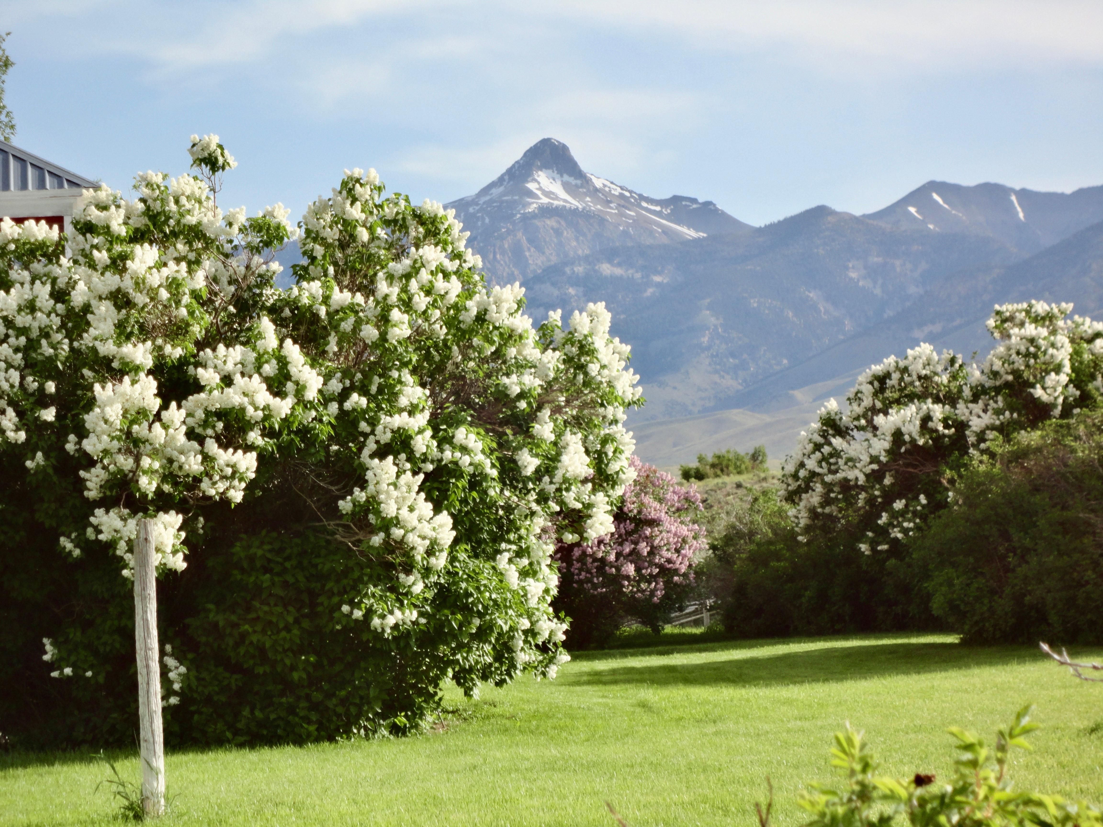 286 Acres, 5691 North 2700 West, Howe, ID 83244 Land and Farm