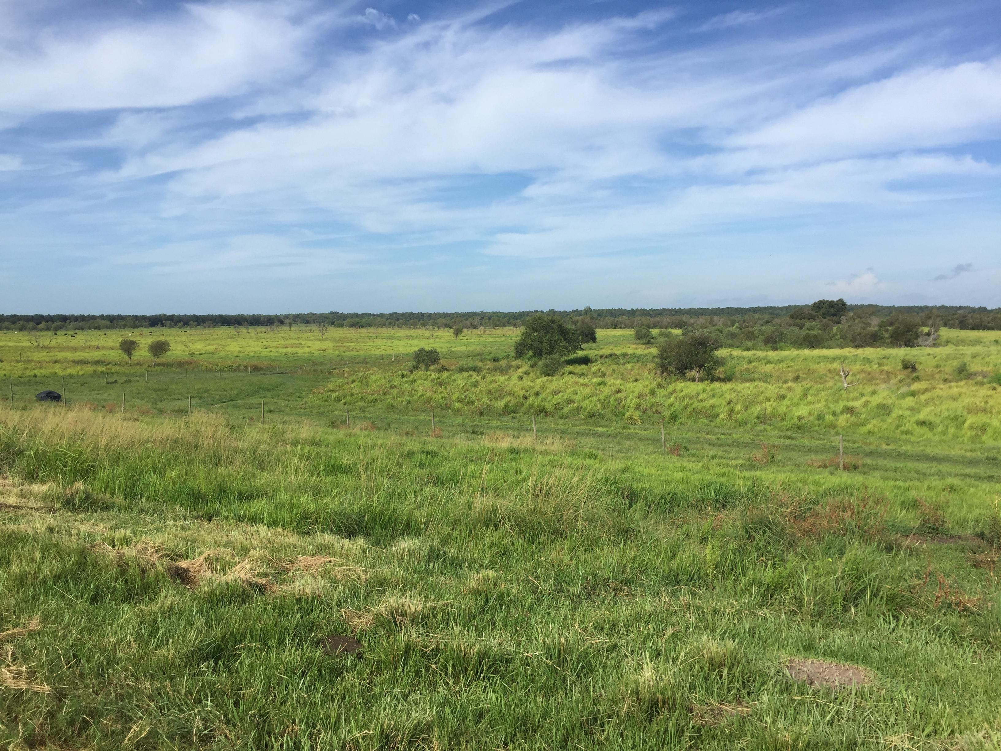 2,543 Acres, HomelandGarfield Rd, Fort Meade, FL 33830 Land and Farm