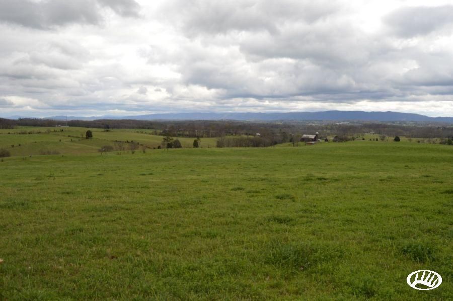 91.83 Acres, 6200 Road, Greenback, TN 37742 Land and Farm