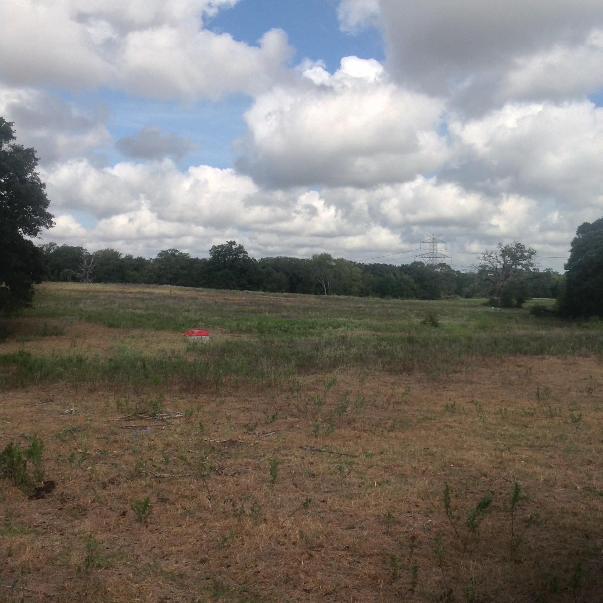 30.18 Acres, LCR 748, Thornton, TX 76687 Land and Farm