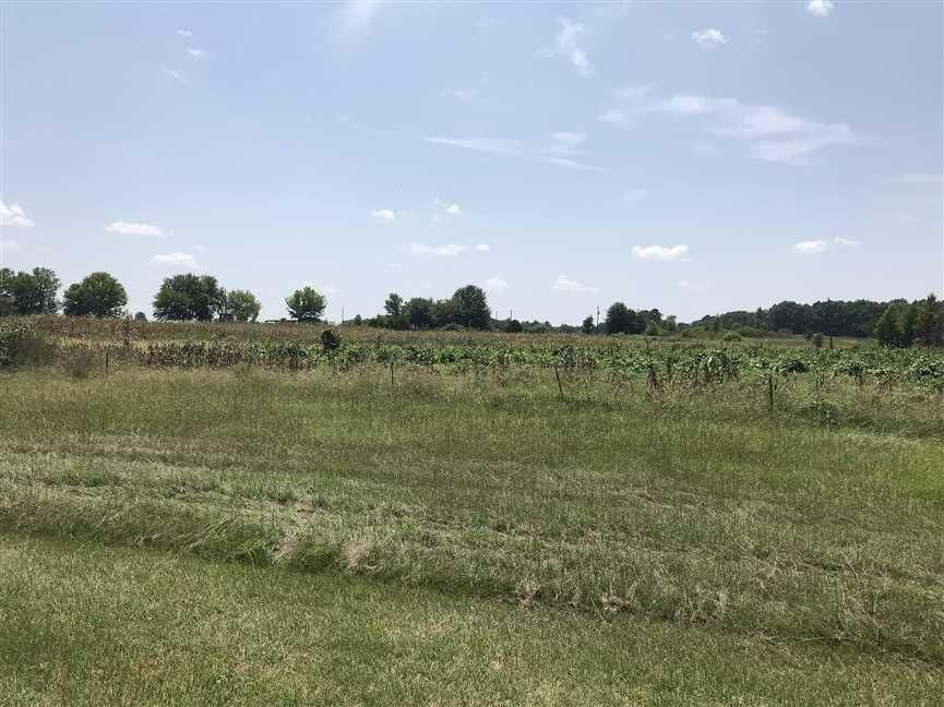34 acres in Moundville, AL, 35474 Land and Farm