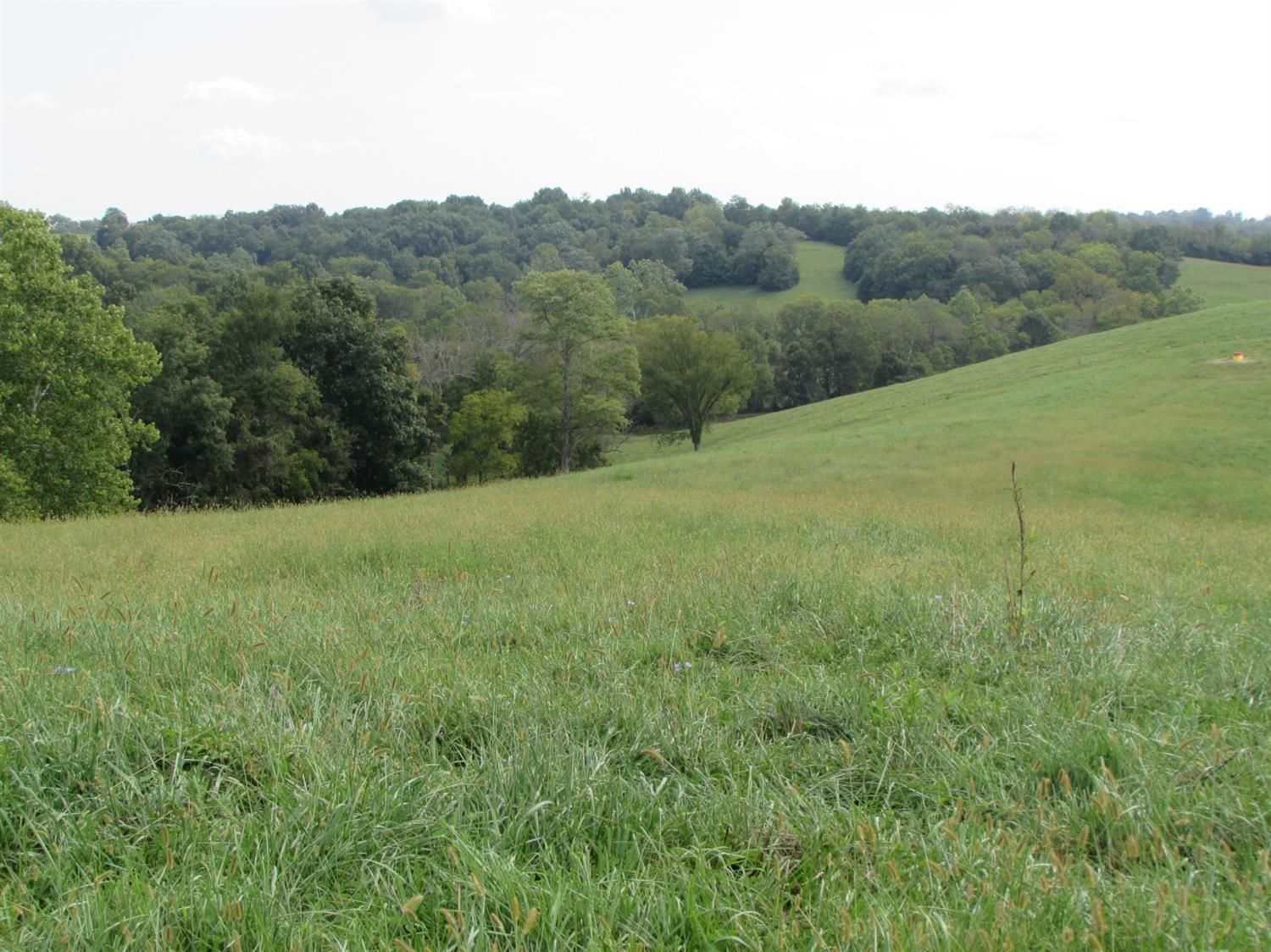 89.5 Acres, 99 Oriole Street, Carlisle, KY 40311 Land and Farm