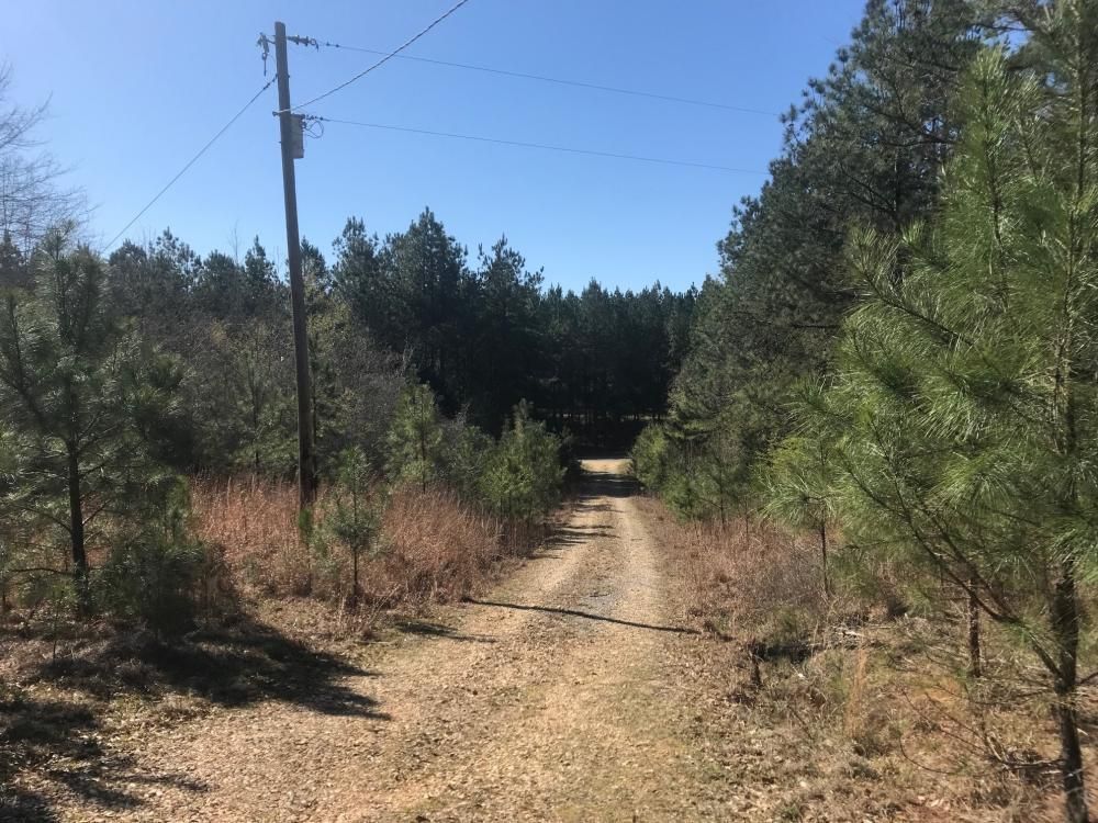 197 Acres, Clearman Road, Vernon, AL 35592 Land and Farm
