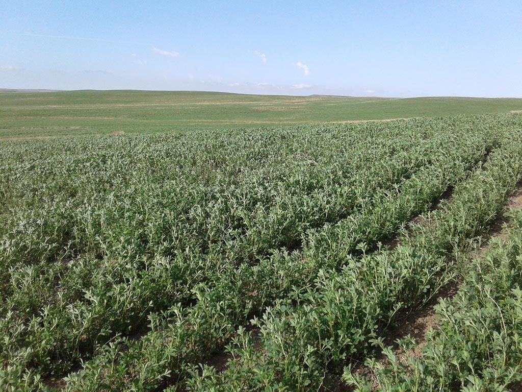 1,791 acres in Glad Valley, SD, 57644 MLS Glad Valley Ranch South Ziebach County Unit Land