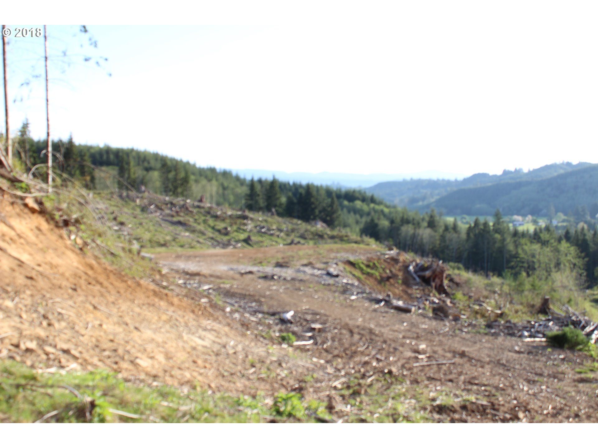 80 Acres, Elochoman Valley, Cathlamet, WA 98612 Land and Farm