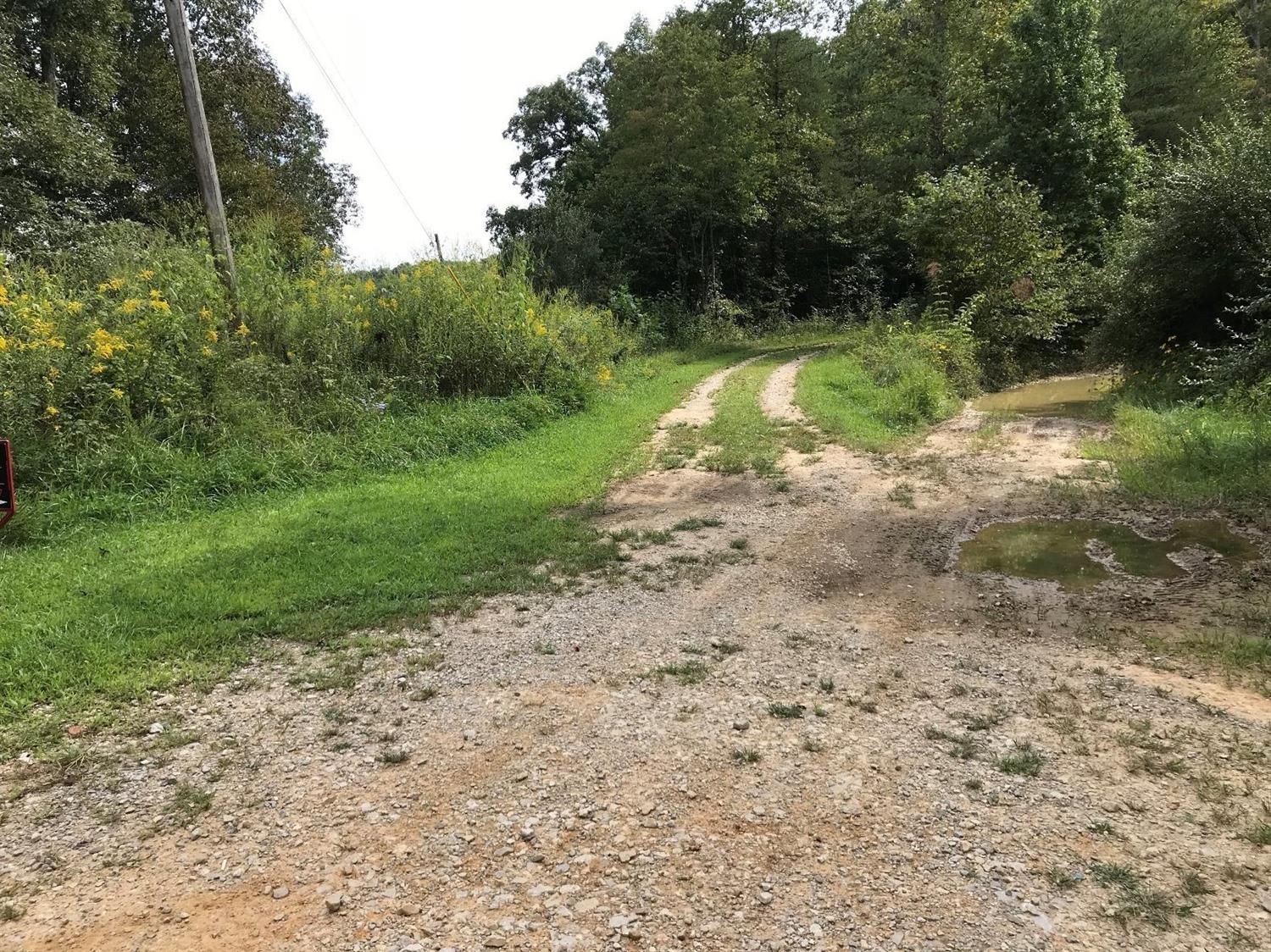 60 Acres, 9999 Buffalo Creek Road, Williamsburg, KY 40940 Land and Farm