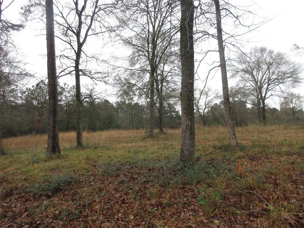 10.58 Acres, Lot 1 INDIGO LAKE Drive, Magnolia, TX 77355 Land and Farm