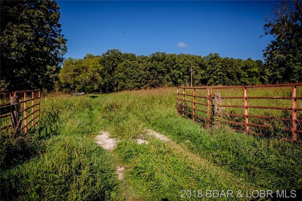 40 Acres, Kennedy Drive, Macks Creek, MO 65786 Land and Farm