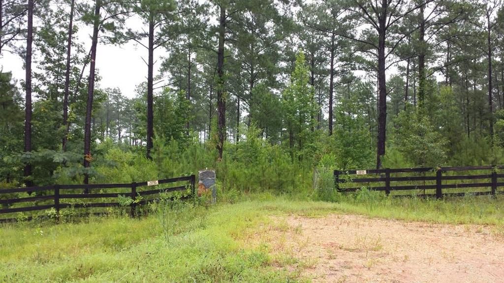 3.89 Acres, 243 OLD US HWY 231, Grady, AL 36036 Land and Farm