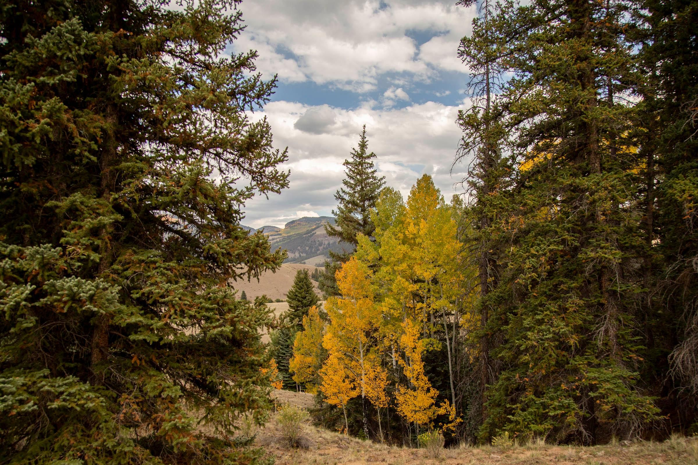 35 Acres, 16615 State Hwy 149, Creede, CO 81130 Land and Farm