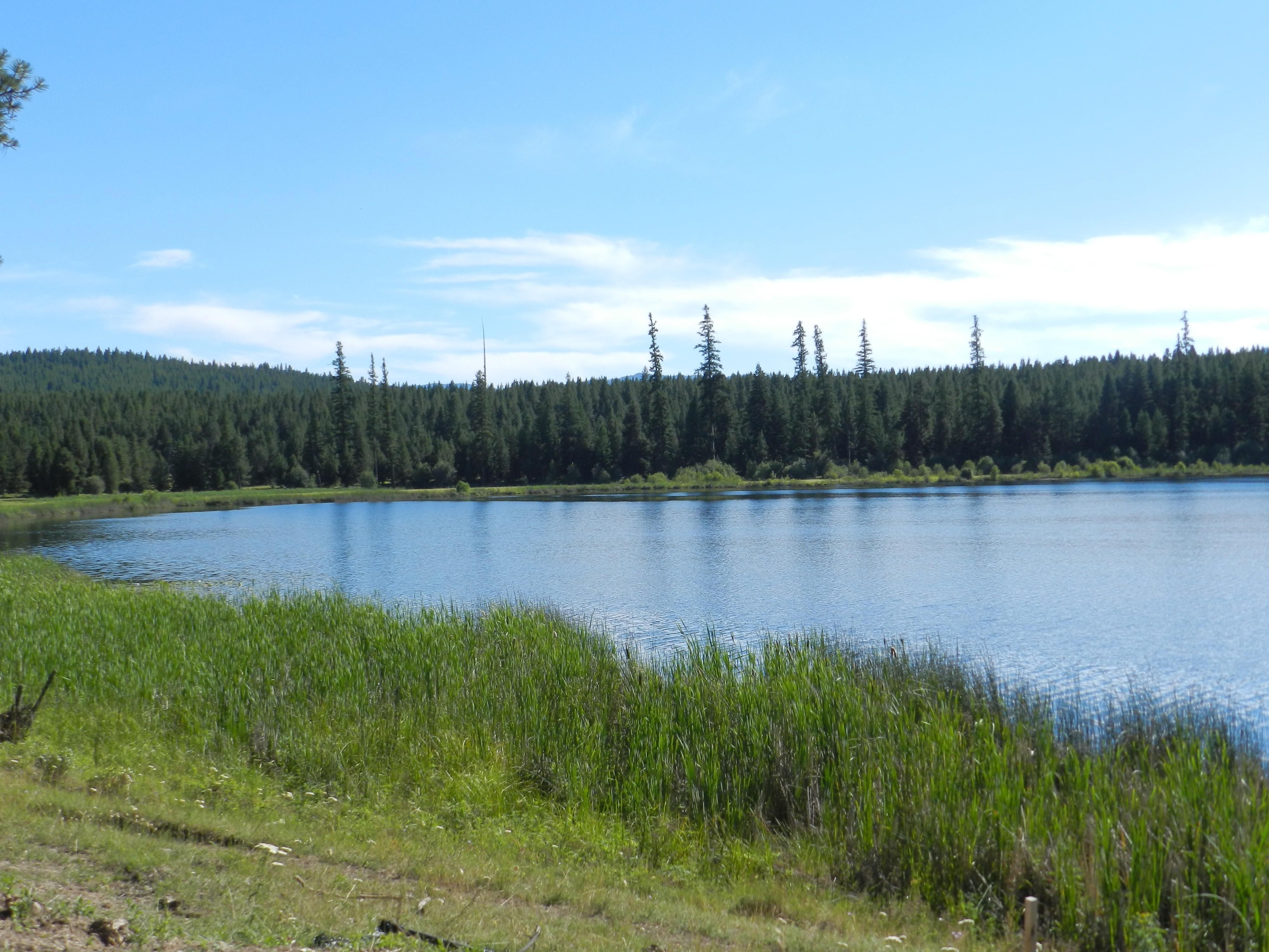 8 Acres, NHN Island Lake Drive, Kalispell, MT 59923 Land and Farm