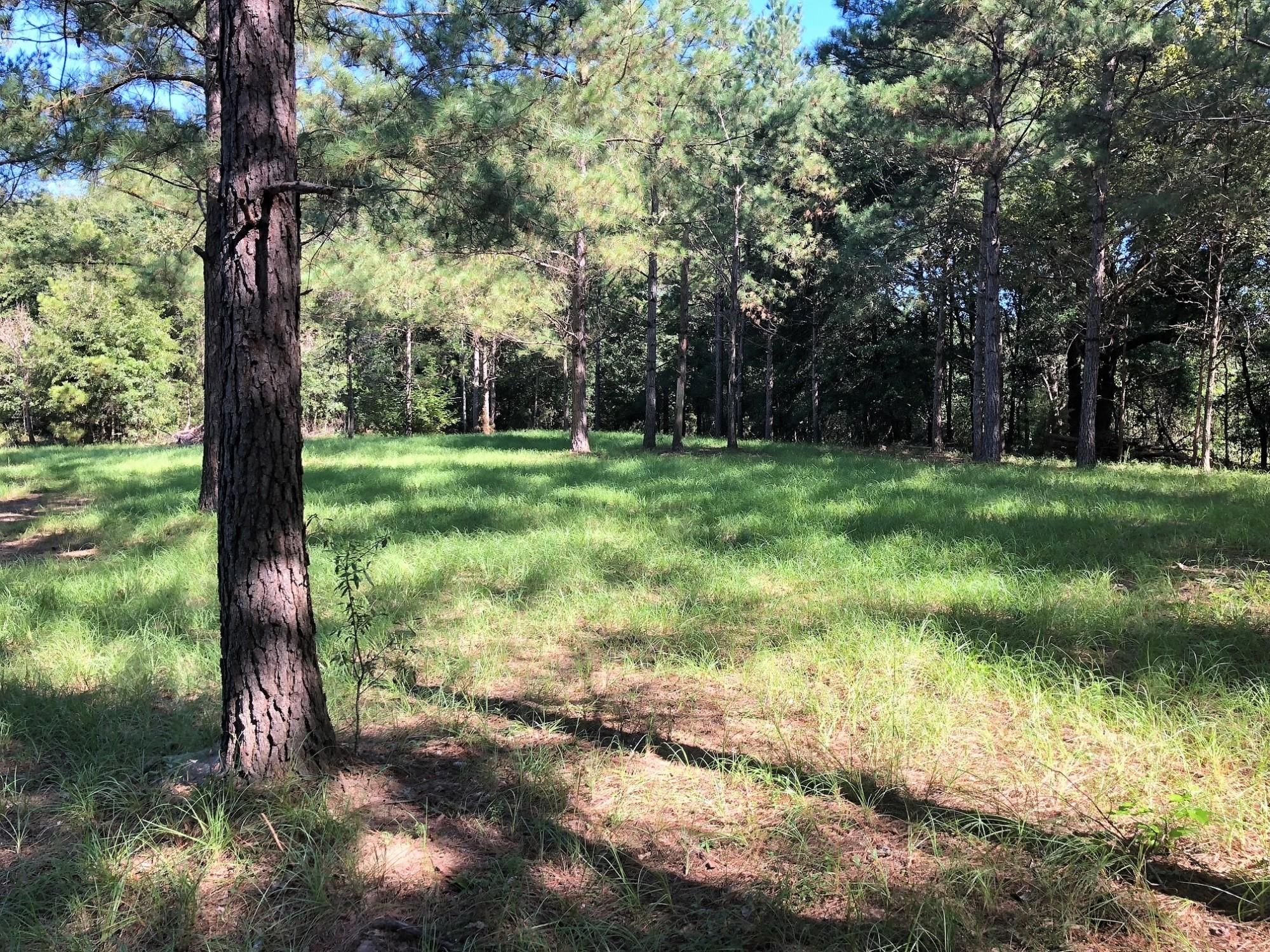 40 Acres, 464 Howard Steen Road, Forest Home, AL 36030 Land and Farm